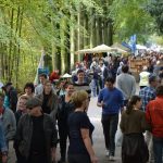 De gezelligste markt in ’t schoonste park