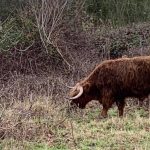 Wandelen in Ertbrugge